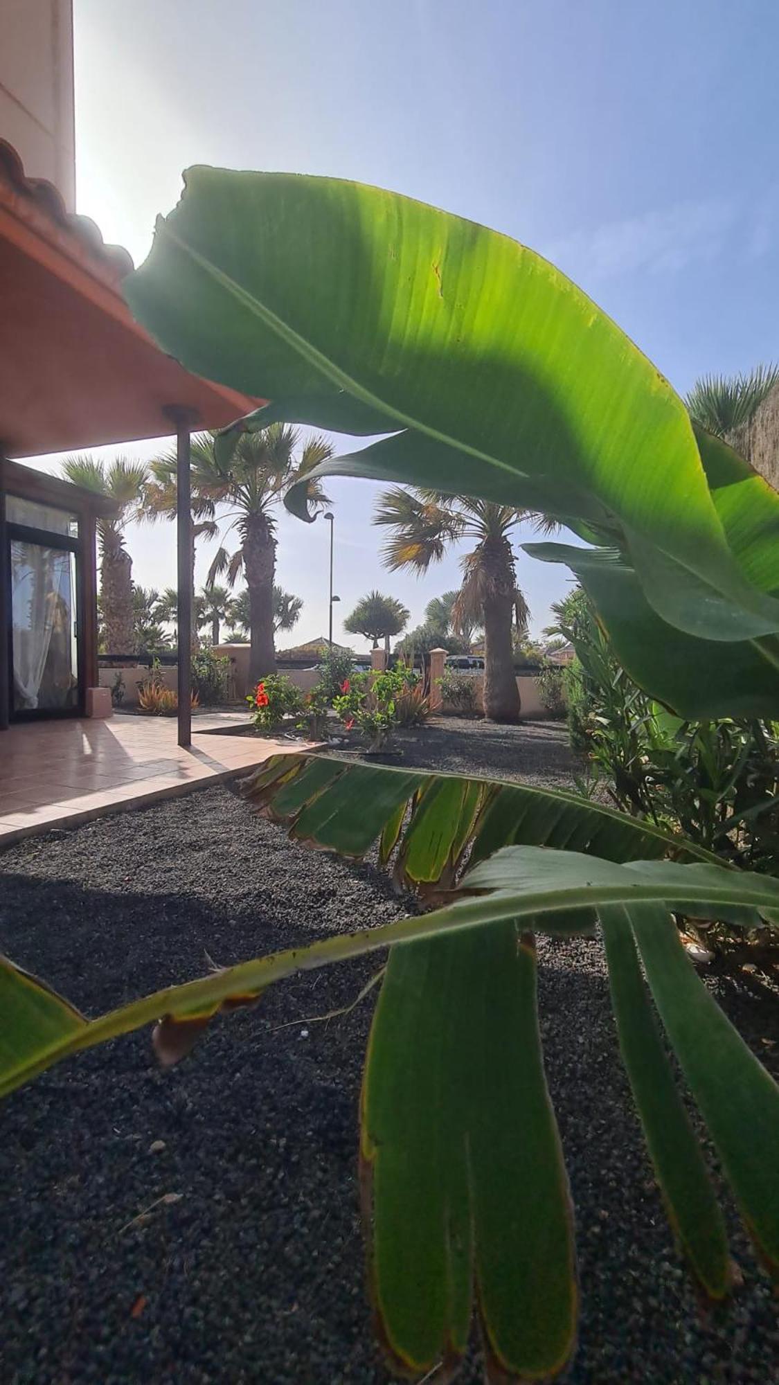 Green Ocean House - Origo Mare Lajares Ngoại thất bức ảnh